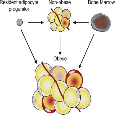 "pharmon201507212235395682.jpg/