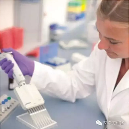 "QQ圖片20170420145325.png "QQ圖片20170420145325.png