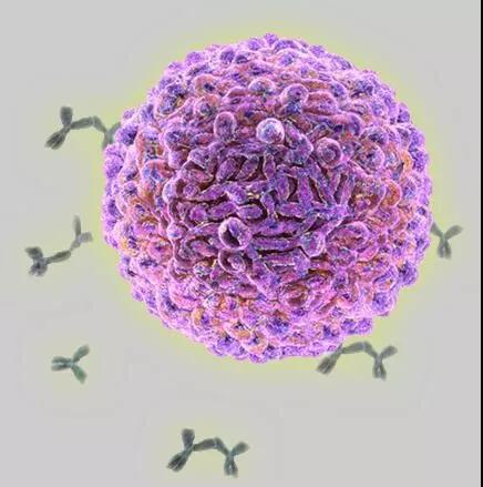 "微信圖片_20171108135232.jpg "微信圖片_20171108135232.jpg/