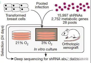 "微信圖片_20171124155844.jpg "微信圖片_20171124155844.jpg/