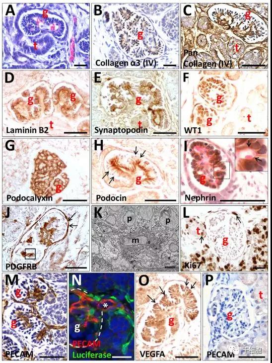 "微信圖片_20180308170515.jpg "微信圖片_20180308170515.jpg/
