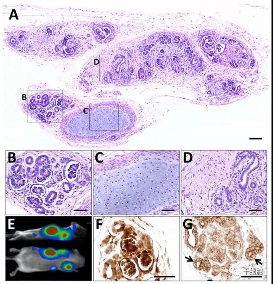 "微信圖片_20180308170511.jpg "微信圖片_20180308170511.jpg/