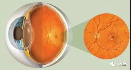 "微信圖片_20180323155213.jpg "微信圖片_20180323155213.jpg/