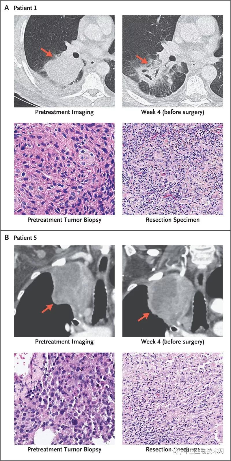 "微信圖片_20180420130543.jpg "微信圖片_20180420130543.jpg
