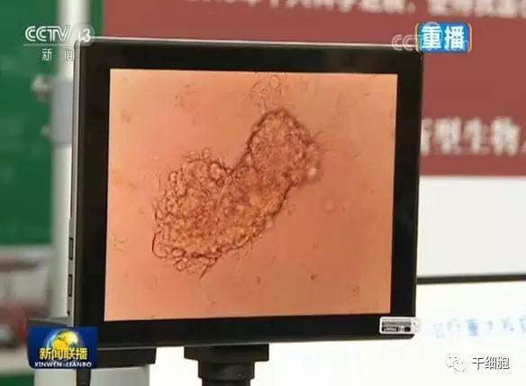 "微信圖片_20180507164025.jpg "微信圖片_20180507164025.jpg