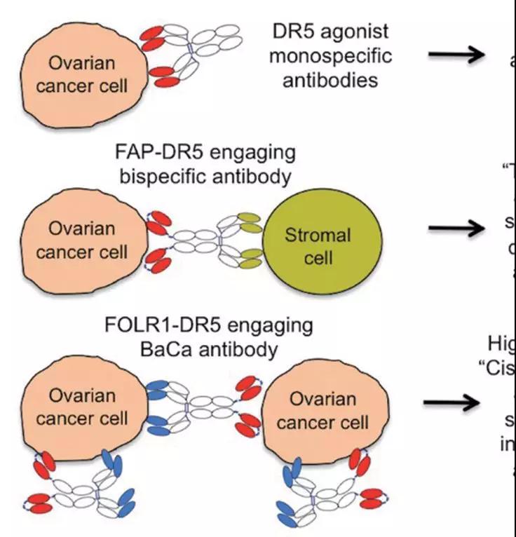 "微信圖片_20181109170317.jpg "微信圖片_20181109170317.jpg