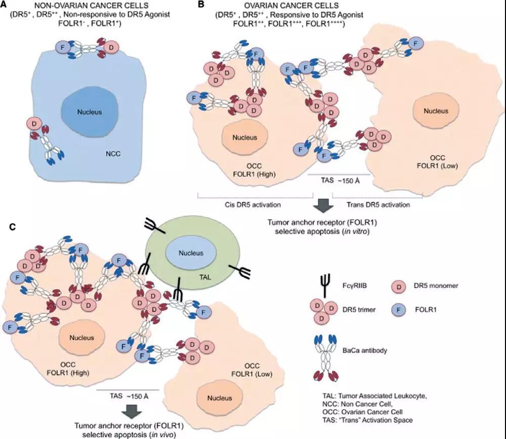 "微信圖片_20181109170412.jpg "微信圖片_20181109170412.jpg