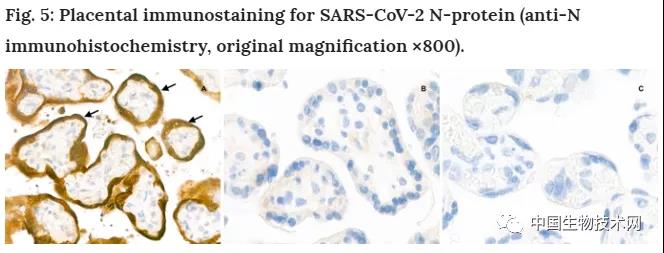 "微信圖片_20200715161818.jpg "微信圖片_20200715161818.jpg/