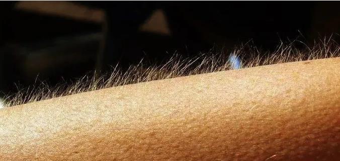 "UEditor_snapScreen_tmp.jpg/