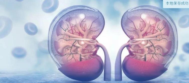 "微信圖片_20210312161203.jpg "UEditor_snapScreen_tmp.jpg